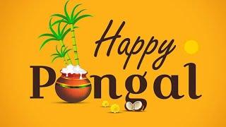 Happy Pongal  2021 // Happy Pongal  2021 // Pongal whatsapp status 2021 || Pongal wishes #shorts