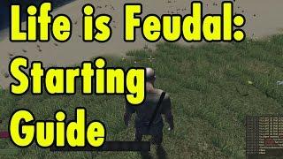 Life is Feudal Starting Guide