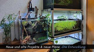 Neue und alte Projekte:  Die Entwicklung und wie es weiter geht #aquaristik