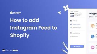 How to add an Instagram Feed to Shopify