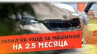 Первая мойка за 3 месяца | Залипательный детейлинг Skoda Rapid