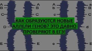 9. Как образуются новые аллели генов? Это давно проверяют в ЕГЭ!