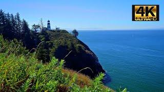 Oregon Coast Cliff Side AMBIENCE | 2 HOURS | 4K