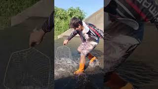 The Fish Comes From inside the Dam #amazing #fishing