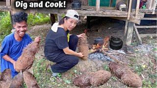 Grabe ang Tinik! Apali o Buga kung Tawagin (Yam) | Paghuhukay ng Burot sa Bundok