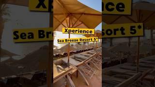 ️ Летим в Египет ️Обзор отеля Xperience Sea Breeze Resort 5* в Шарме #travelvlog