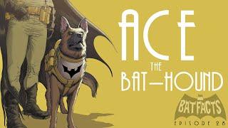 The History of Ace The Bat-Hound | BatFacts : Batman History Ep. 28