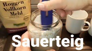  Sauerteig flüssig geführt #einfach selber herstellen #Triebmittel #Roggensauerteig# Natur pur # 