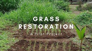 Grassland Restoration Movement in Pune, Maharashtra