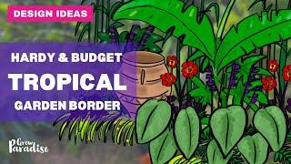 How to design a tropical garden border - hardy & low budget