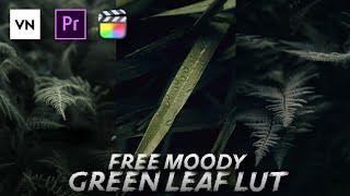 Moody Green Leaf Lut | VN LUTS | Free Luts Pack | Color grading with lut on mobile (VN Video Editor)