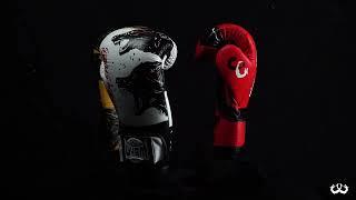 Wyrm Sports Boxing Gloves Intro Video