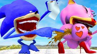 New Shin Sonic Tapes Love Story vs Amy Sonic Tapes Sad Story in Garry's Mod!!!