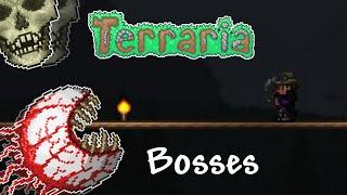 Terraria 1.4 | The Guide to ALL Bosses