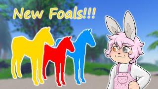 Help Me Name New Forever Foals + Foal Updates in Wild Horse Islands!!!