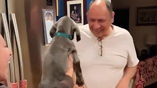 I can’t decide who’s more precious in this video  Puppy Surprise!