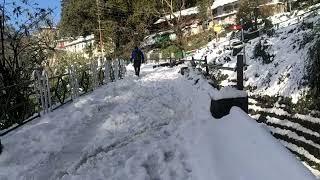 Shimla