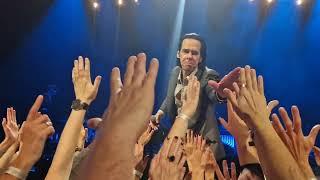 Nick Cave and The Bad Seeds - White Elephant & Papa Won't Leave You, Henry live @ Arena Zagreb 2024