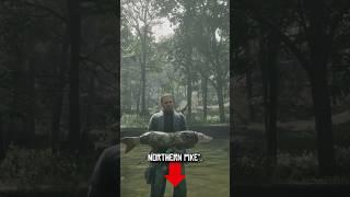 The Best Location To Catch A Northern Pike! #gaming #shorts #trending #fyp #reddeadonline