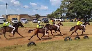 Traditional horse racing_Peka Lesotho 2024