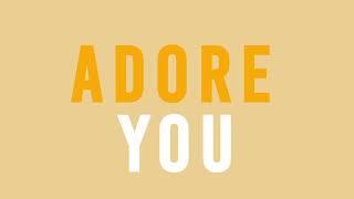 ADORE YOU - HARRY STYLES | KINETIC TYPOGRAPHY