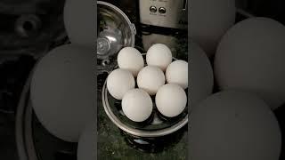 Dash Everyday Egg Cooker Easy Hard Boiled Eggs! @ByDash