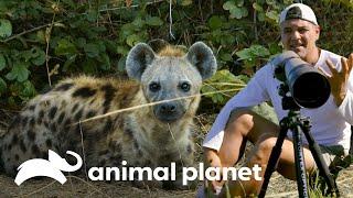 Três animais simbólicos de países diferentes | Wild Frank | Animal Planet Brasil