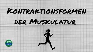 Kontraktionsformen der Muskulatur | 3 Arten | Skizzen | einfach erklärt