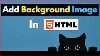 How to Add Full Screen Background Image in HTML using CSS