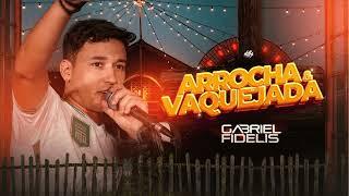 GABRIEL FIDELIS - ARROCHA & VAQUEJADA - [CD COMPLETO]