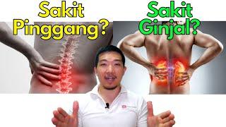 Sakit pinggang VS ginjal : Bedanya apa ya??