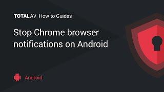 Stop Chrome Browser Push Notifications on Android