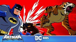 Batman: The Brave and the Bold | Ace To The Rescue | @dckids