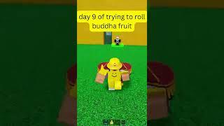 Day 9 rolling a fruit in blox fruit  #roblox #shortsfeed #bloxfruits #bloxfruitsroblox