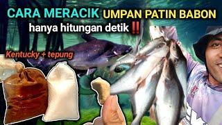 Racikan jitu untuk mancing ikan patin babon liar‼️