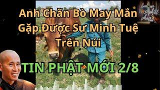 Anh Chăn Bò May Mắn Học Đạo Từ Sư Minh Tuệ Trong Lúc Lên Núi ! #suminhtue #loiphatday