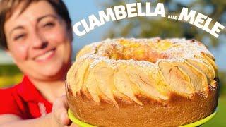 CIAMBELLA ALLE MELE con 4 METODI DI COTTURA - Forno, Pentola Fornetto, Friggitr. ad aria e Microonde