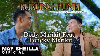 Burung Punei - Dedy Marikit Feat Pongky Marikit - Lagu Dayak terbaru 2024 ( Video Musik Official)