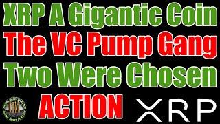Gigantic XRP vs. VC Coin Pump Gang & Ripple CEO Not Buying It