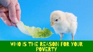 Who is the reason for your poverty [the real truth]