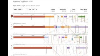 Comparative genomics analysis of tick-transmitted bacteria using BV-BRC