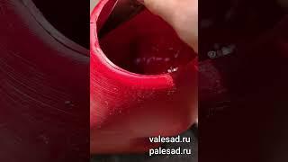 ОГУРЦЫ ЗАВАЛЯТ УРОЖАЕМ если их подкормите этим сейчас! #shorts #short #shortvideo #огород