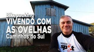 CdS 19 Vivendo com Ovelhas na Estância Felicidade em Cambará do Sul no Bikepacking Caminhos do Sul