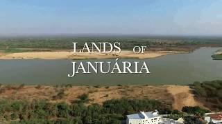 Lands Of Januária