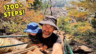 CLIMBING to the BUDDHIST TIGER TEMPLE in KRABI, THAILAND 
