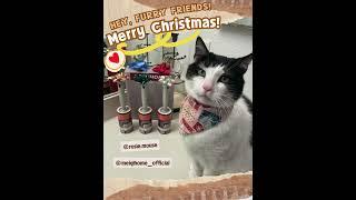 Hi, furriend! Merry Christmas!In this time ,thanks for @rosie.mouse   to try our lint roller