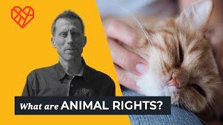 What Are Animal Rights?