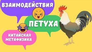 Все взаимодействия земной ветви Петух с другими зверьками в карте бацзы. Столкновения, вред, пробой