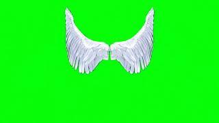 Green Screen Angel Wings Video effect