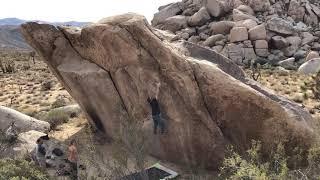 Joshua Tree - 4 Star Dyno V6